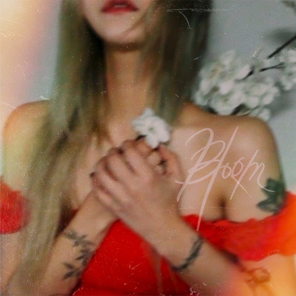 Image Cover